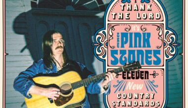 Recensie: The Pink Stones - Thank The Lord... It's The Pink Stones