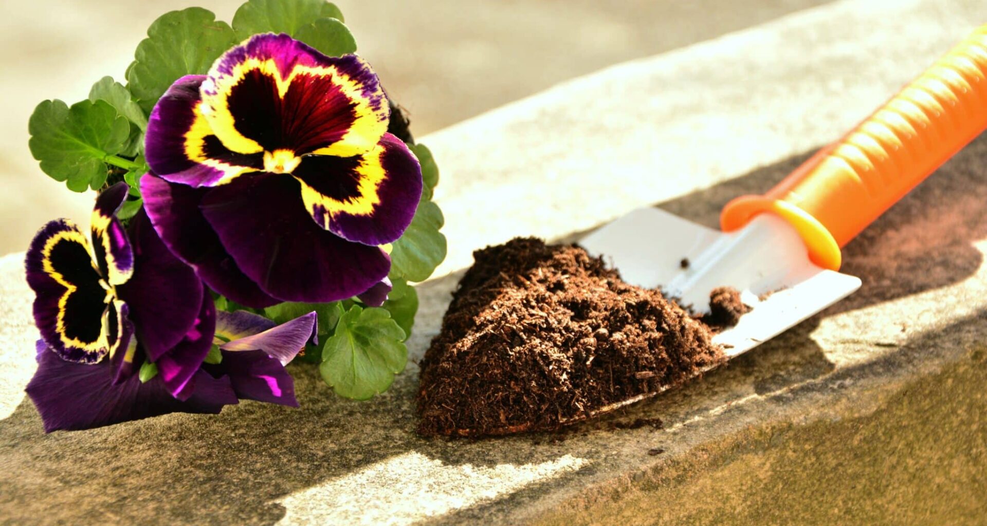 Potgrond is slecht voor het milieu. Wageningse onderzoekers komen nu met een duurzaam alternatief