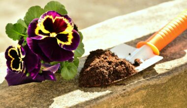 Potgrond is slecht voor het milieu. Wageningse onderzoekers komen nu met een duurzaam alternatief