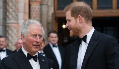 Een bron beschrijft rol van Harry binnen de koninklijke familie