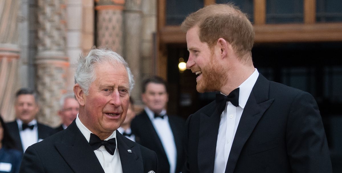 Een bron beschrijft rol van Harry binnen de koninklijke familie