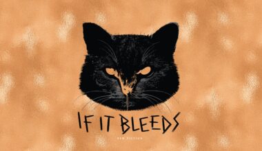 Volgende grote Stephen King-film al aangekondigd: "een onvoorspelbaar, vaak hallucinant verhaal"