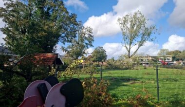 Hert gewond door de extreme windhoos in Stadskanaal: ‘Uitgerekend op dierendag’