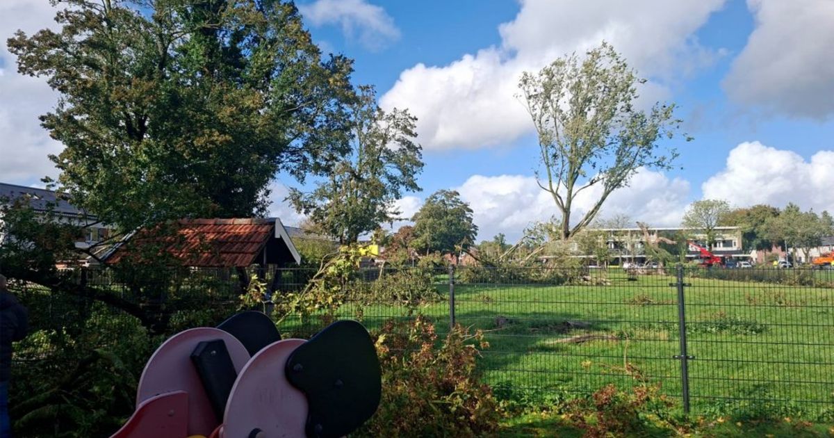 Hert gewond door de extreme windhoos in Stadskanaal: ‘Uitgerekend op dierendag’