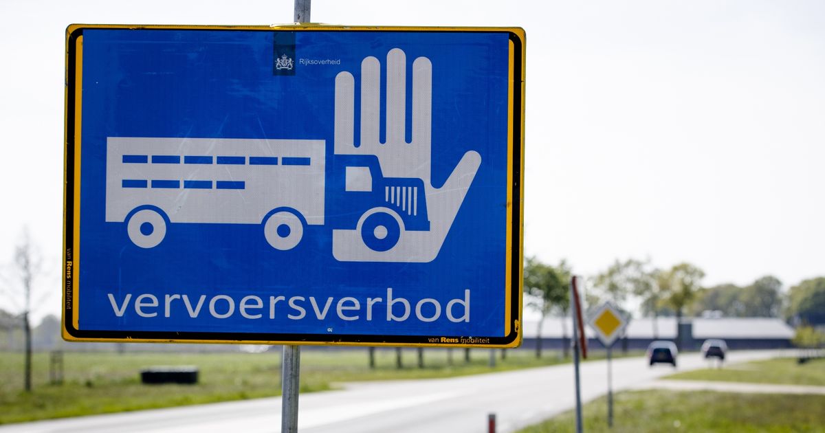 71.000 kippen geruimd na vogelgriep in Gasselternijveenschemond - RTV Noord