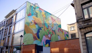 Nieuwe muurschildering met kikkers fleurt Zuidwijk in Sint-Gillis op