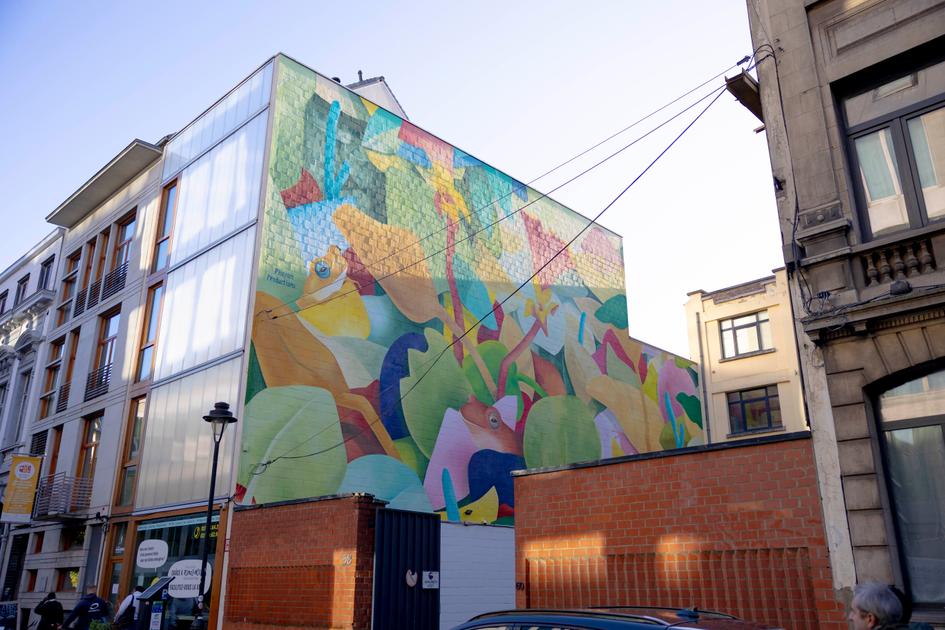 Nieuwe muurschildering met kikkers fleurt Zuidwijk in Sint-Gillis op