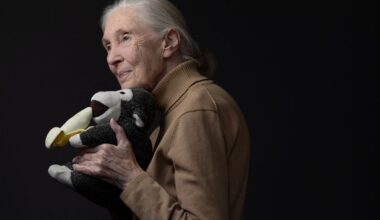 Jane Goodall (91), de bekendste chimpansee-onderzoeker ter wereld, overleden