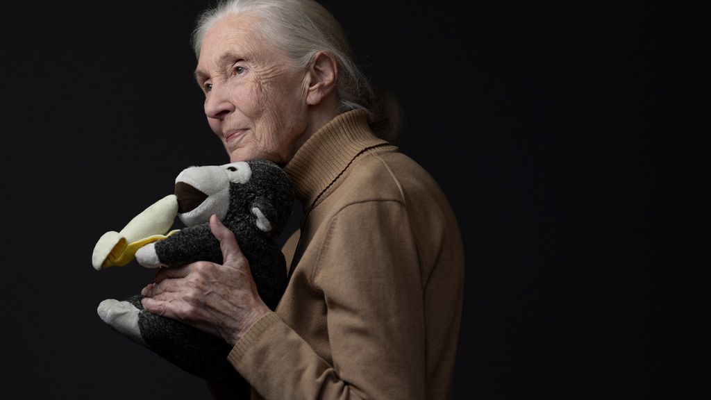 Jane Goodall (91), de bekendste chimpansee-onderzoeker ter wereld, overleden