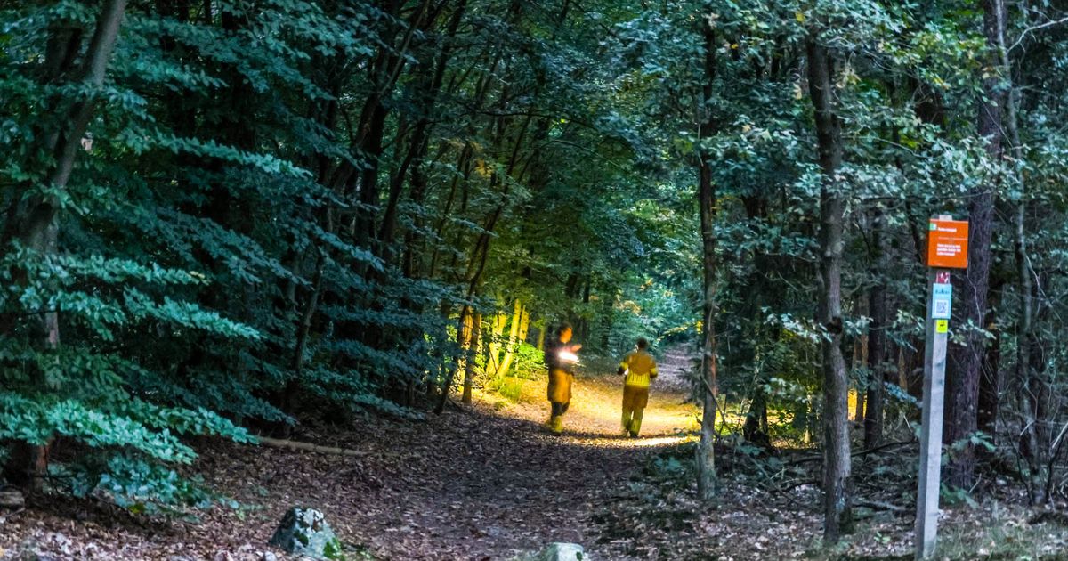 112-nieuws: Vermiste personen in bos gevonden | A12 bij Woerden is weer vrij