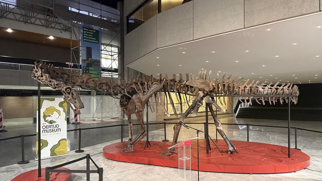 Skelet van langnekdinosaurus onthuld in provinciehuis Den Bosch