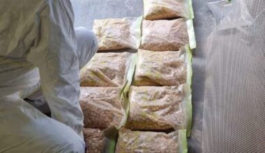 Tienduizenden xtc-pillen gevonden in lab Uithoorn, twee aanhoudingen