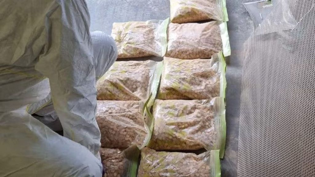 Tienduizenden xtc-pillen gevonden in lab Uithoorn, twee aanhoudingen