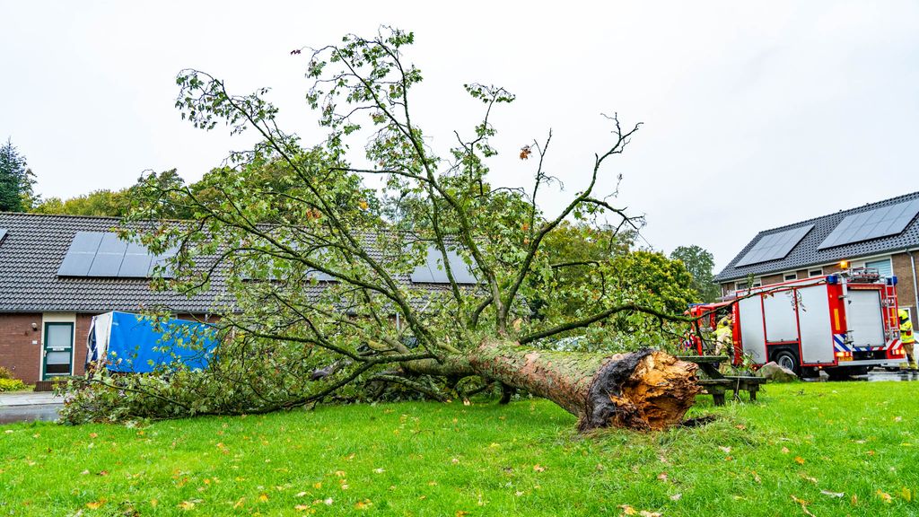 Omgewaaide bomen door storm Amy, maar tot nu toe geen grote incidenten