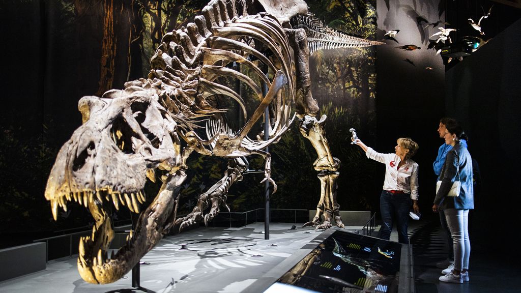 Museumkaart populairder, vooral bij mensen van 45 of jonger