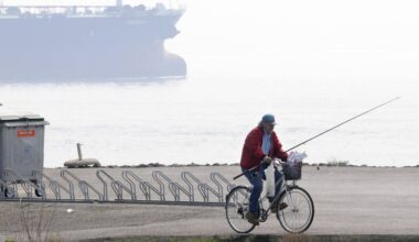 Fabrikant Sabic moet PFAS-lozing in Westerschelde terugdringen