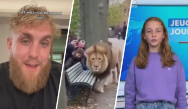 Kun jij nog zien of een video echt is of gemaakt met AI?