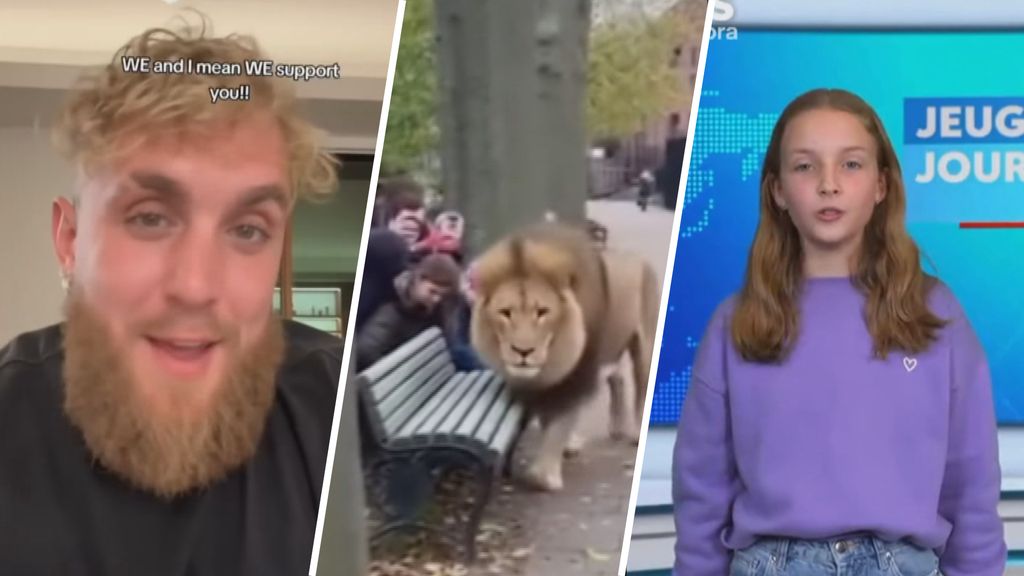 Kun jij nog zien of een video echt is of gemaakt met AI?