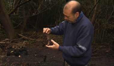 Almeerse imker overdonderd door steun na brandstichting in bijenkasten