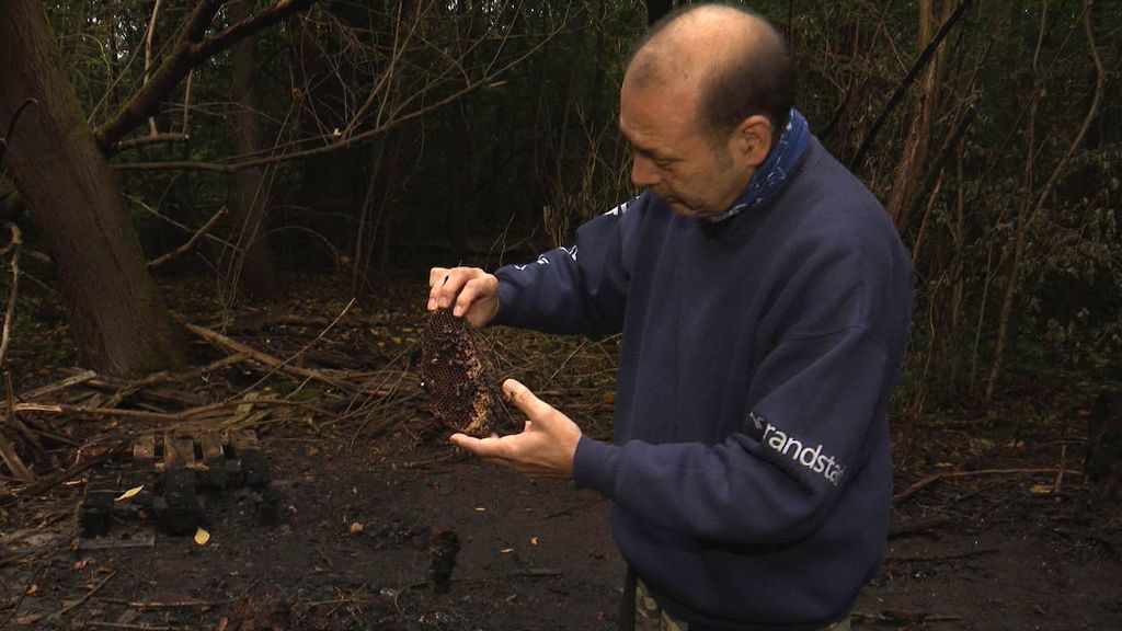 Almeerse imker overdonderd door steun na brandstichting in bijenkasten