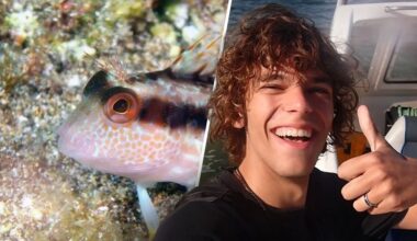 'Zeeuwse Freek Vonk' (19) ontdekt nieuwe vissoort in Nederland