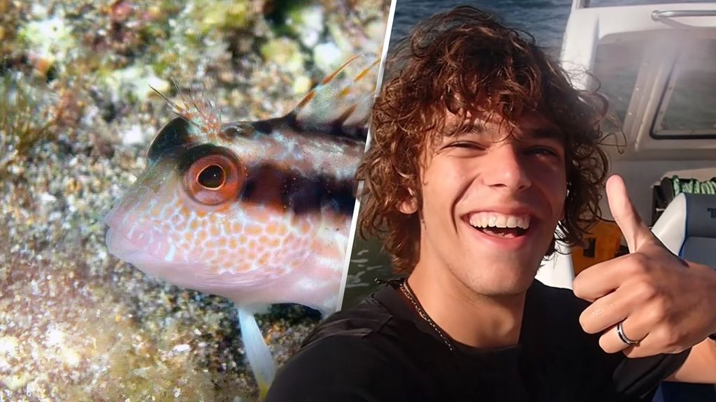 'Zeeuwse Freek Vonk' (19) ontdekt nieuwe vissoort in Nederland