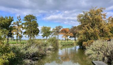Herfstvakantie met rustig weer, weinig zon maar ook weinig regen