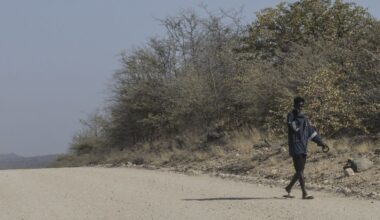 Tientallen doden bij busongeluk Zuid-Afrika
