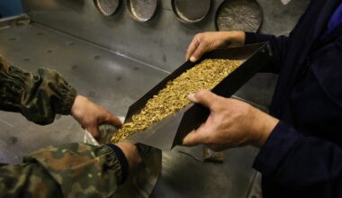 Brazilië leidt wereldwijde koopgolf op de goudmarkt