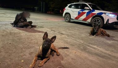 Politie houdt inbrekers aan in Flevoland na melding boeren