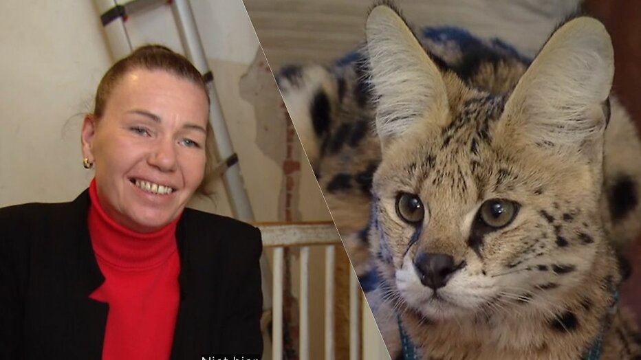 beestenboel in Help, Mijn Man is Klusser roept veel reacties op