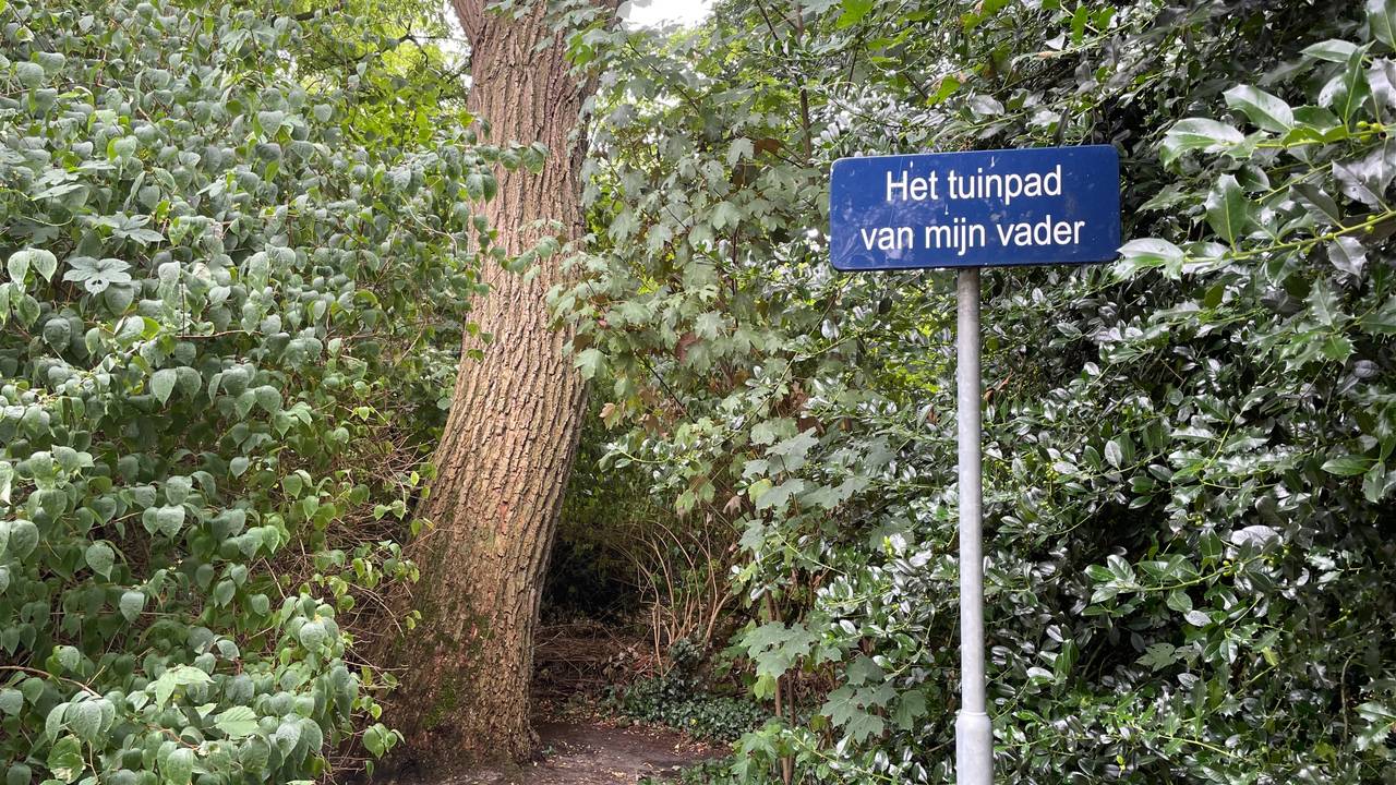 Profielfoto van Femke de Jong