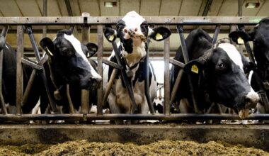 Natuur- en klimaatdoelen halen in 2050 kan, maar opgave is enorm