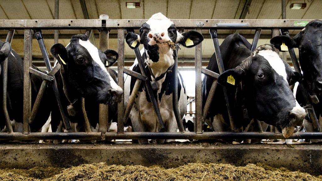 Natuur- en klimaatdoelen halen in 2050 kan, maar opgave is enorm