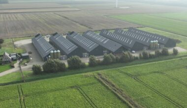 Landelijke ophokplicht na Drents geval van vogelgriep