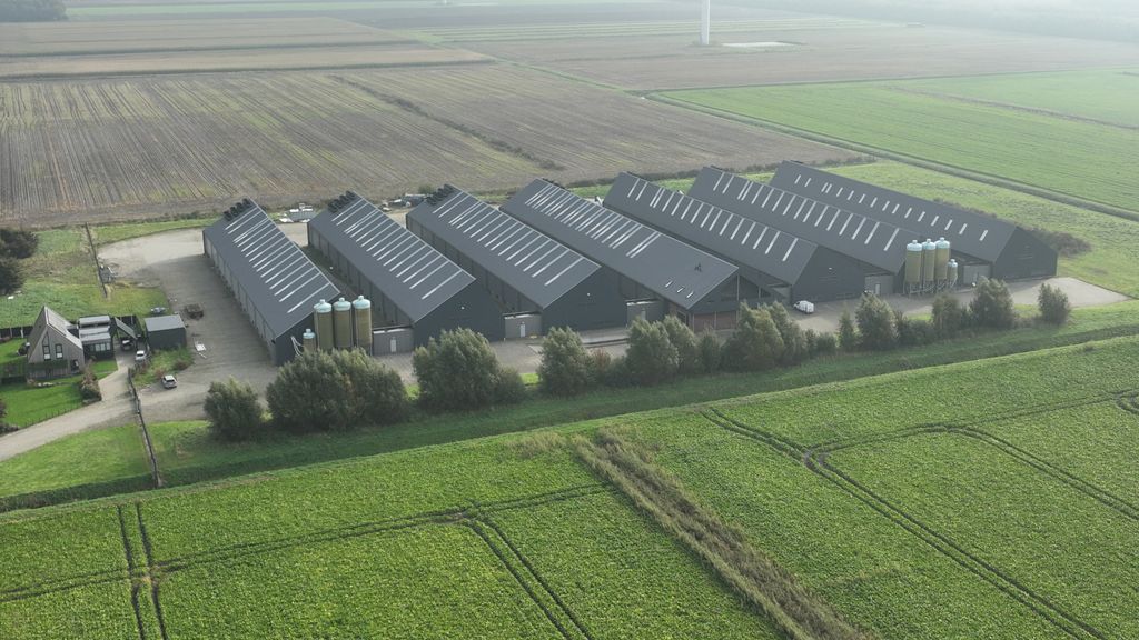 Landelijke ophokplicht na Drents geval van vogelgriep