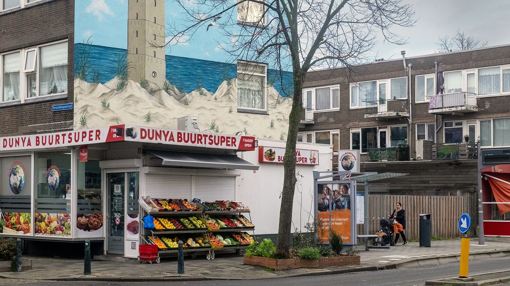 Buurten veranderen door migratie, en dat leidt tot zorgen bij bewoners en politiek