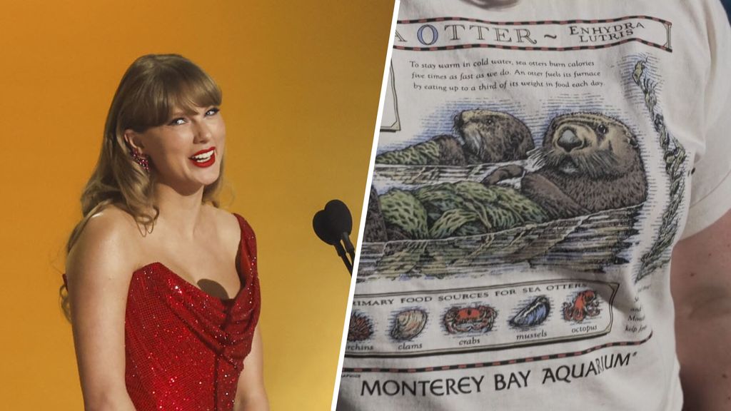 Taylor Swift-fans zamelen 2 miljoen euro in voor otters