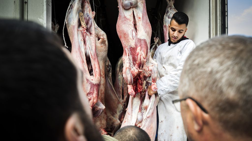 Raad van State overwegend positief over verbod op onverdoofd slachten