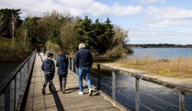 CPB geeft 'plusjes' voor stikstofplannen, terwijl partijen doelen niet gaan halen