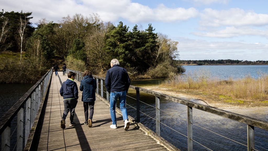 CPB geeft 'plusjes' voor stikstofplannen, terwijl partijen doelen niet gaan halen