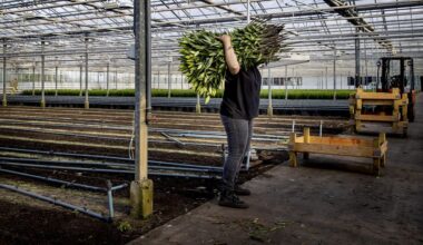 Partijen willen minder arbeidsmigranten, maar zonder de economie te schaden