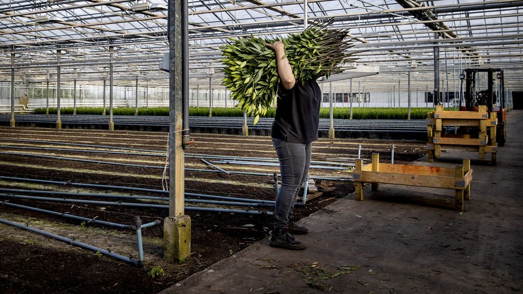 Partijen willen minder arbeidsmigranten, maar zonder de economie te schaden