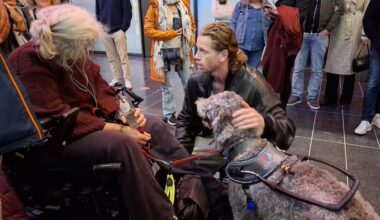 Cabaretier Patrick Laureij stuurt publiek weg om hulphond in de zaal