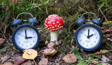 vannacht gaat de klok weer een uur terug