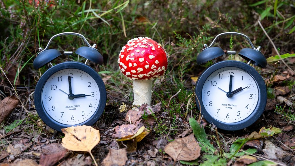 vannacht gaat de klok weer een uur terug