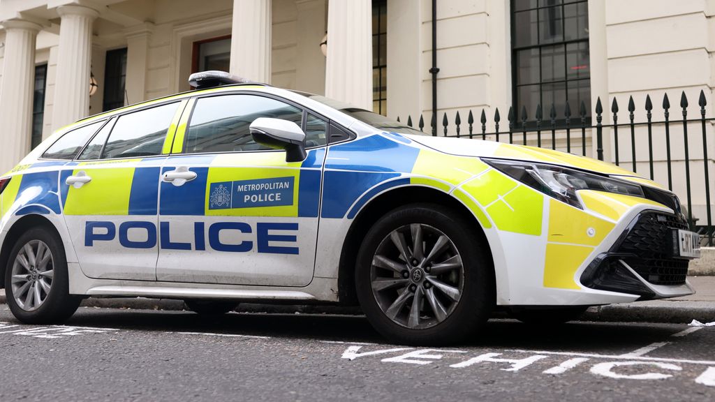 Per ongeluk vrijgelaten zedendelinquent weer opgepakt door Britse politie