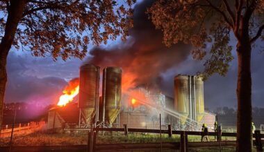 Honderden varkens dood door stalbrand in Limburgse Susteren