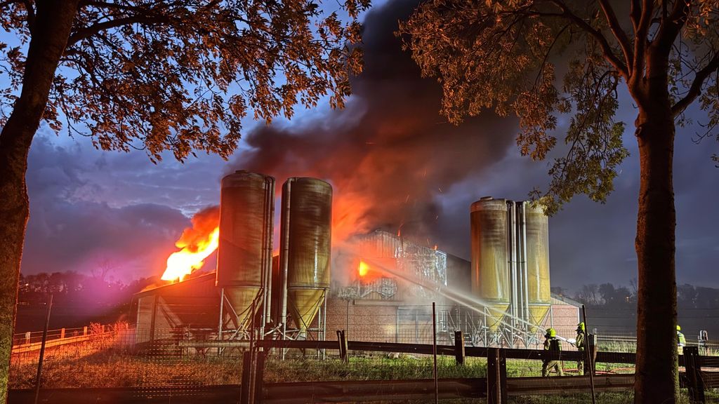 Honderden varkens dood door stalbrand in Limburgse Susteren