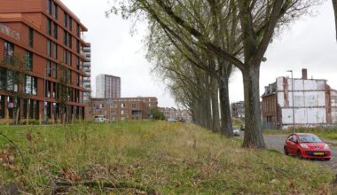 Rotterdam wil huizen bouwen, maar kan erven van grondeigenaar niet vinden
